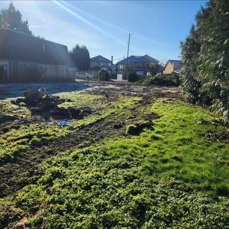 Before: overgrown lot cleared and graded