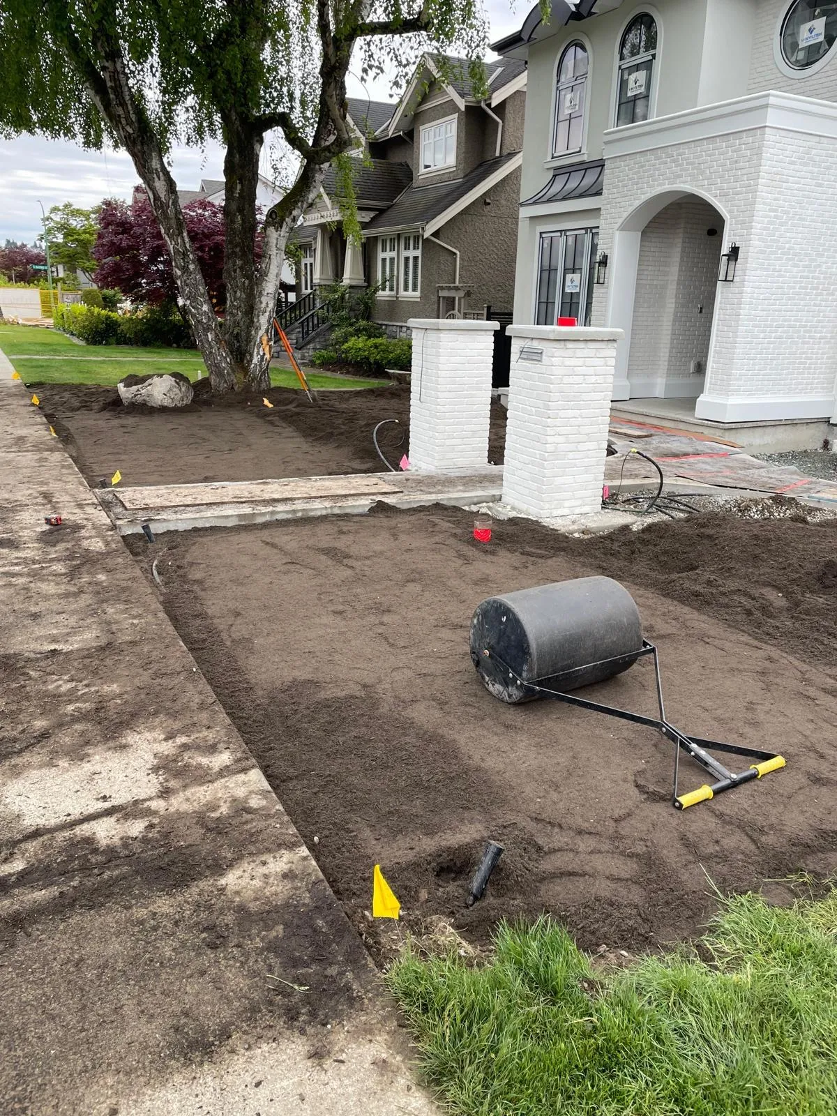 A front yard stripped to bare graded soil, raked level and rolled flat, with irrigation line and marker flags run through it and a lawn roller parked on the finished grade.