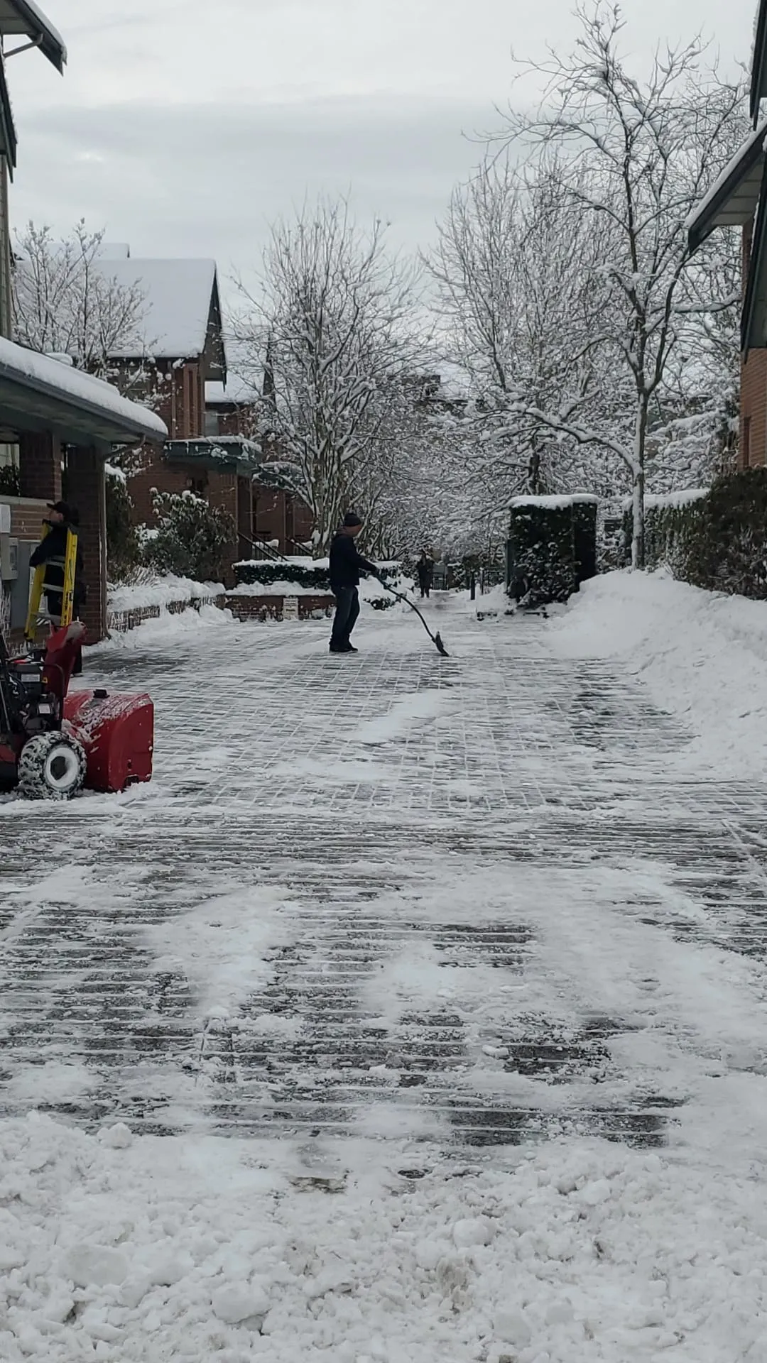 A worker pushing snow off a paved lane between townhouses while it is still snowing, with a red walk behind snowblower parked at the side and the banks already pushed back to the hedges.