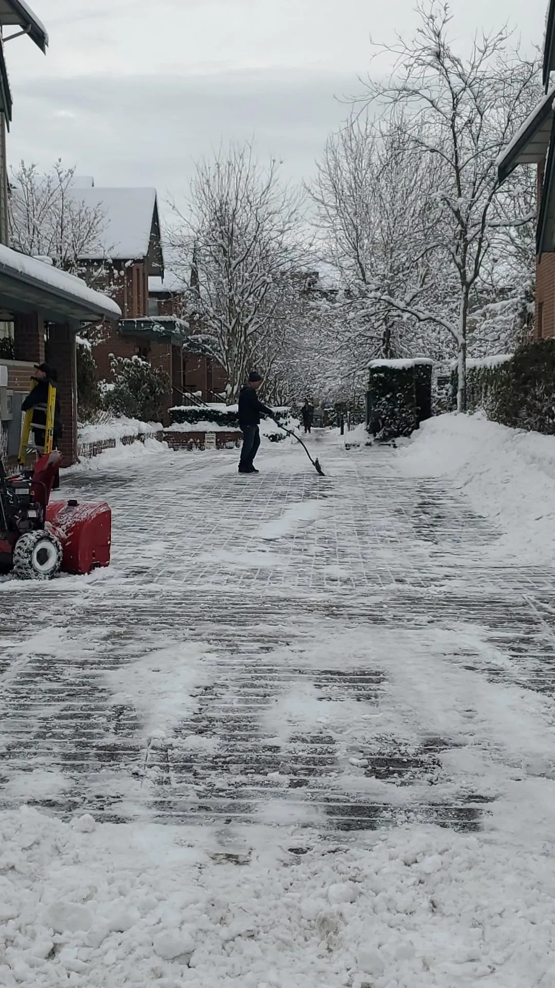 Clearing a snow-covered driveway