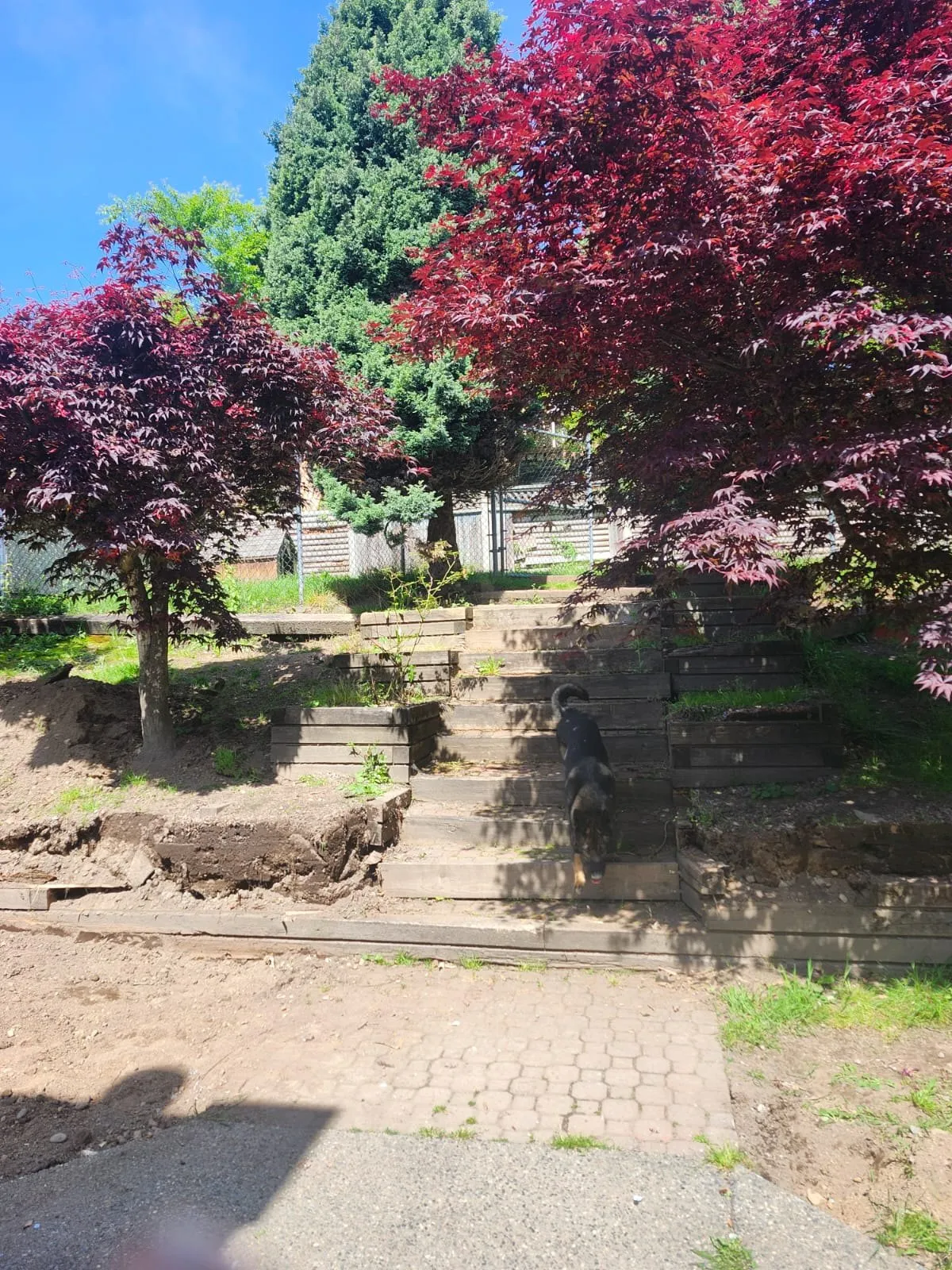 Before: tiered walls and paver steps